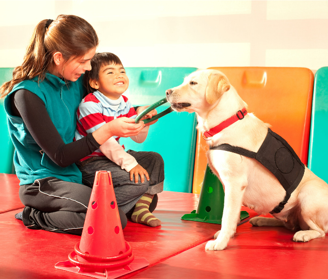 Therapy Dog Training